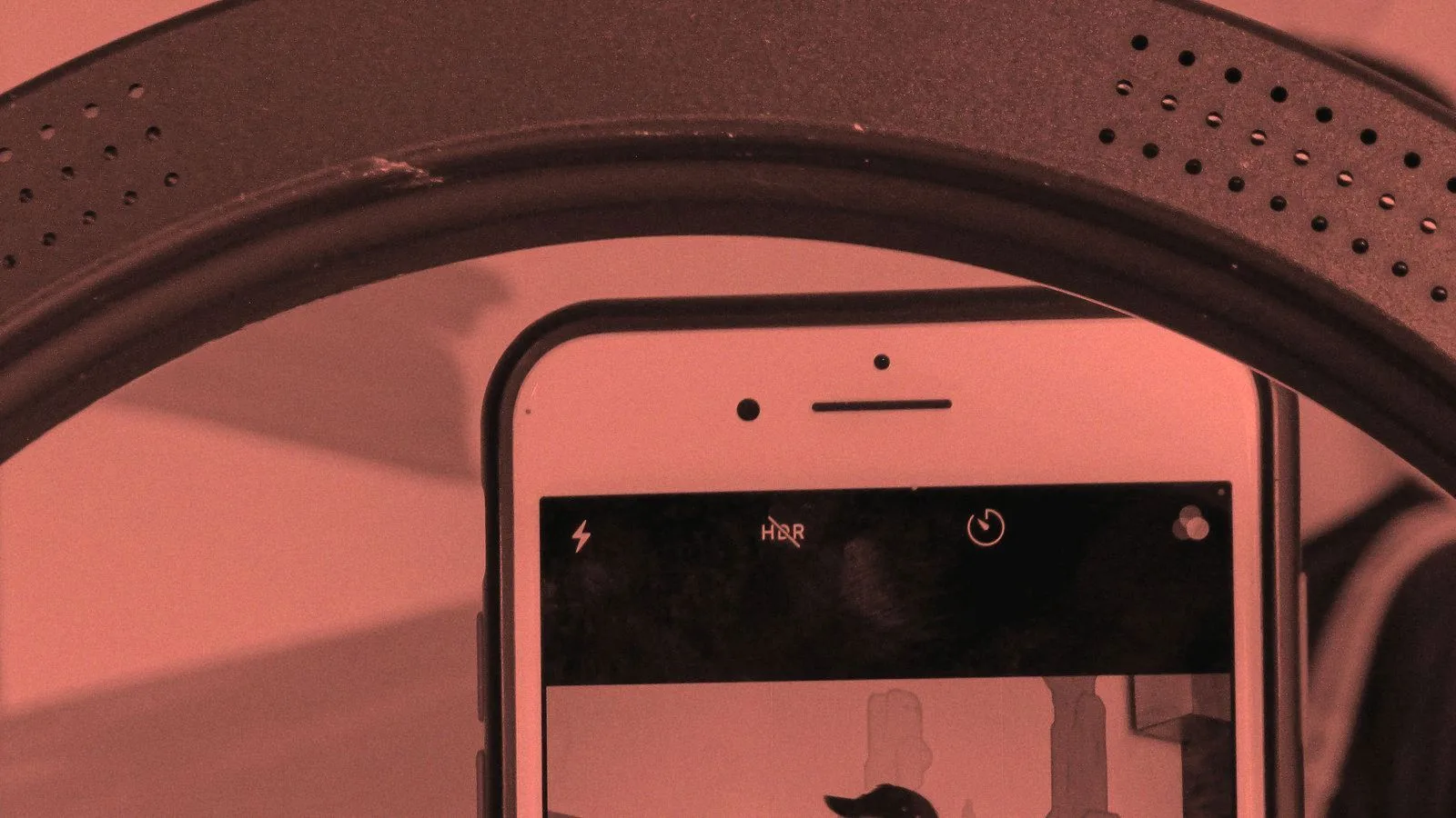 A phone mounted on a tripod filming inside a ring light